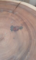 Stolik SUAR PIENIEK #1 OUTLET - Image 2